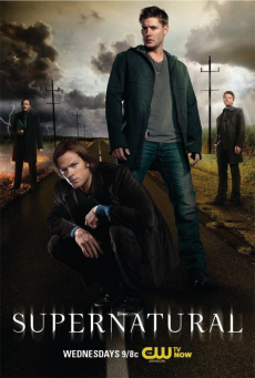 Supernatural Season 8